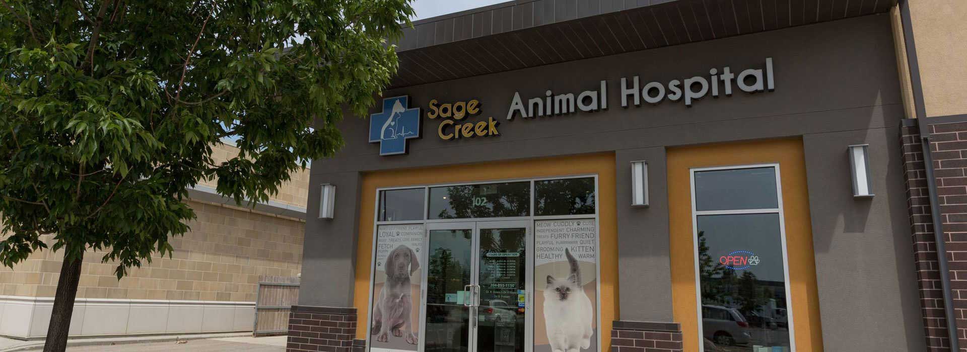 Veterinarian | Winnipeg, MB | Sage Creek Animal Hospital