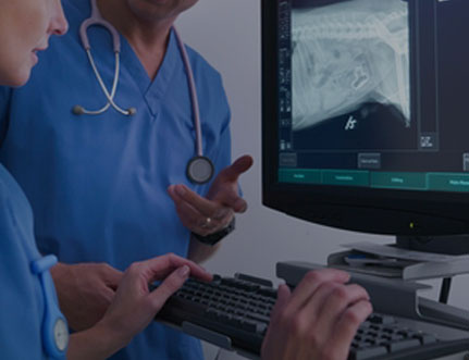 Digital-Radiology