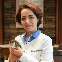 Dr. Maryam Mirzaie